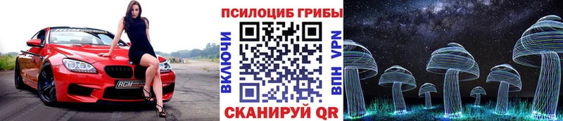 Псилоцибиновые грибы прущие грибы  Зубцов 